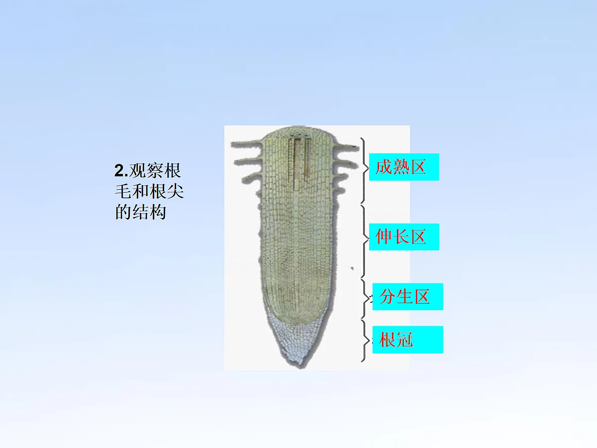 18060243第8页