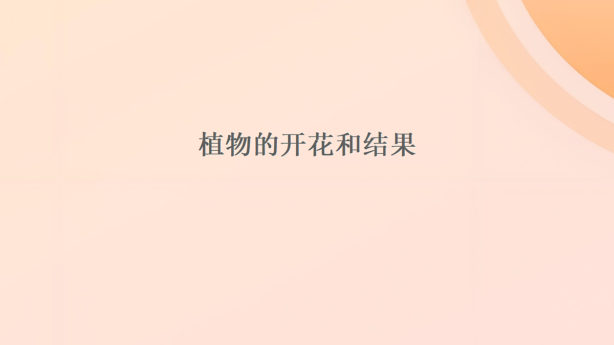 18060244第1页