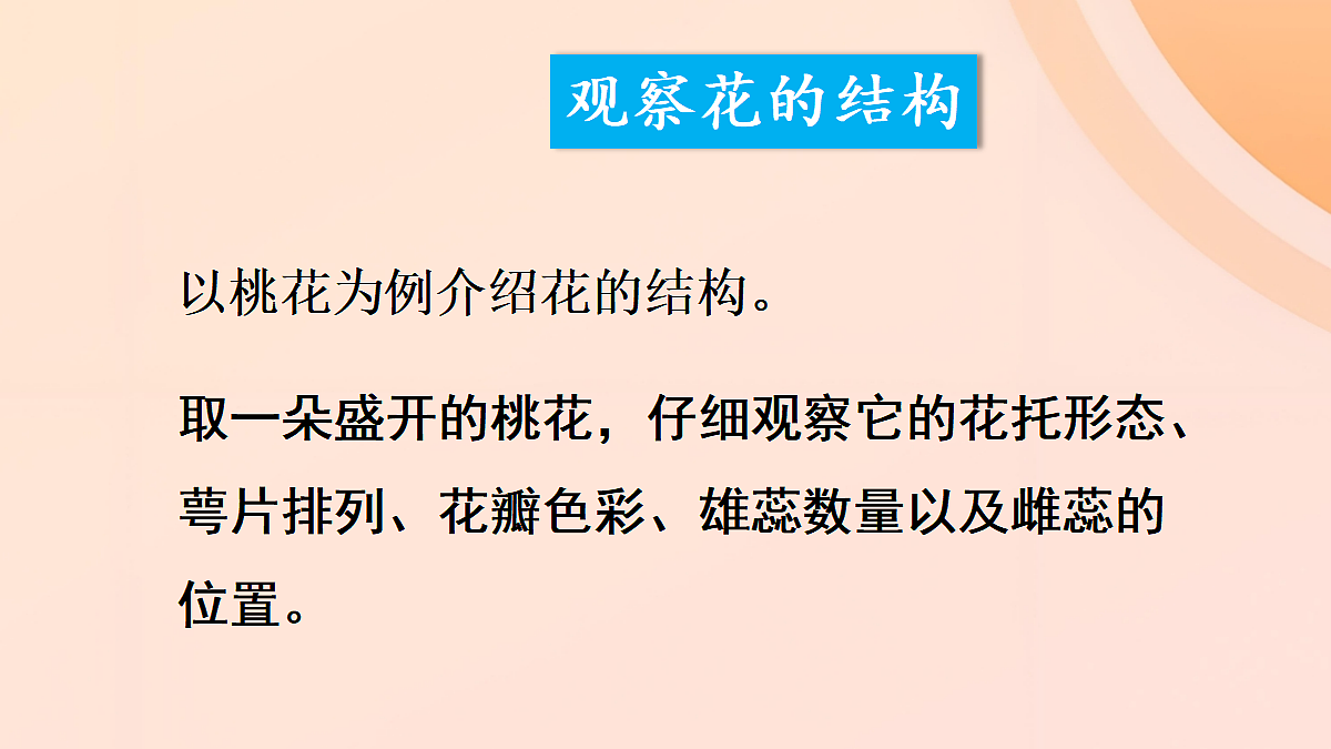 18060244第3页
