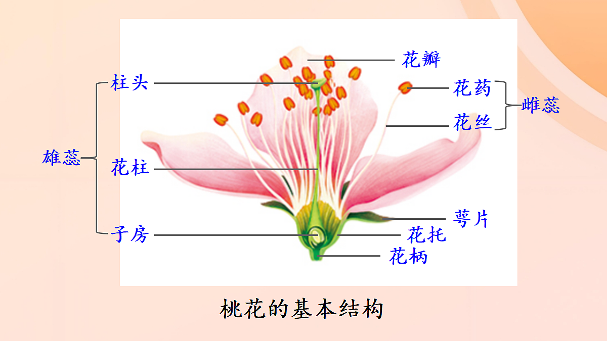 18060244第5页