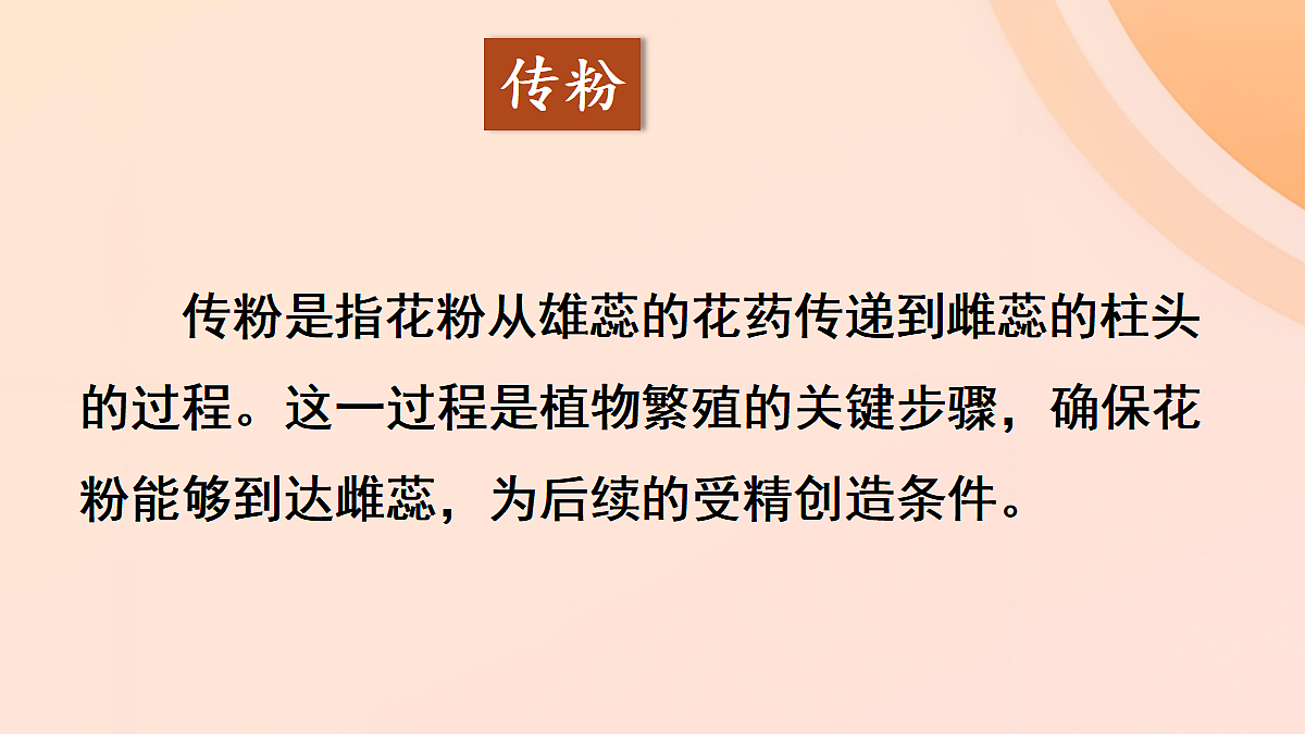 18060244第7页
