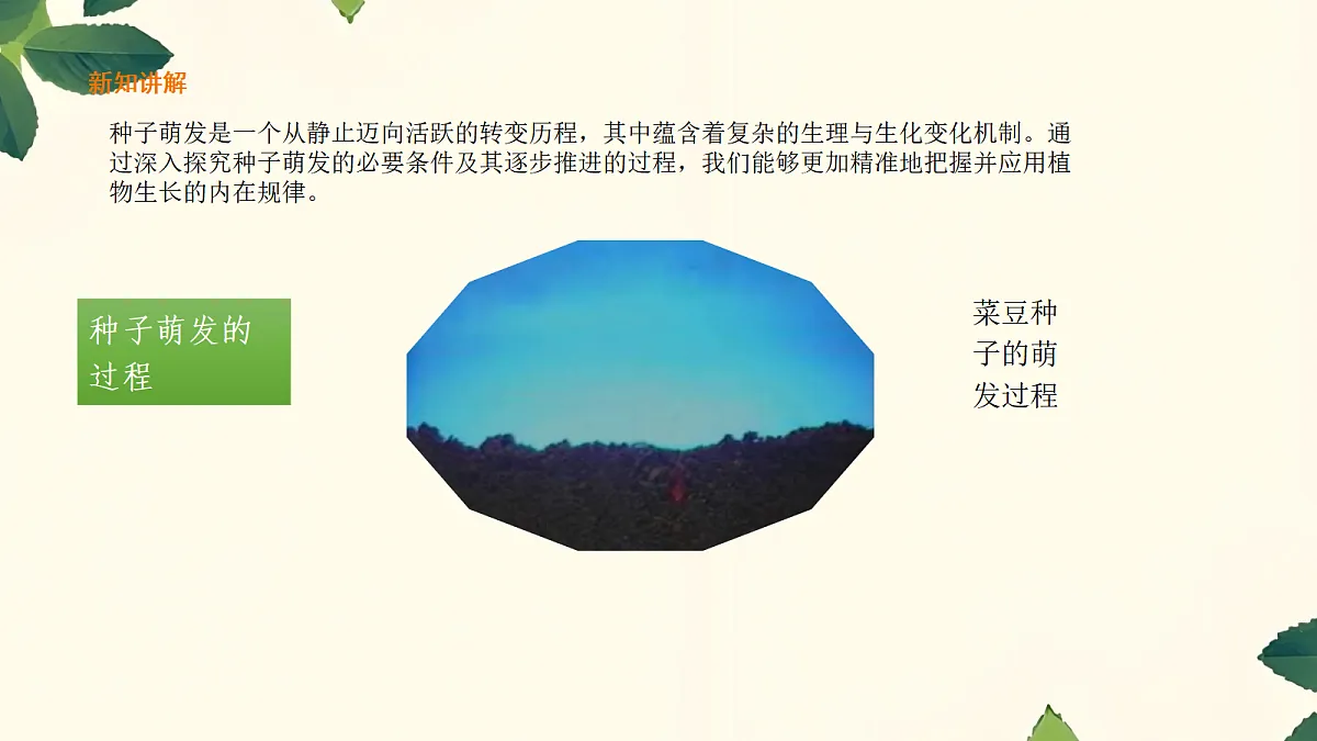 18060249第3页