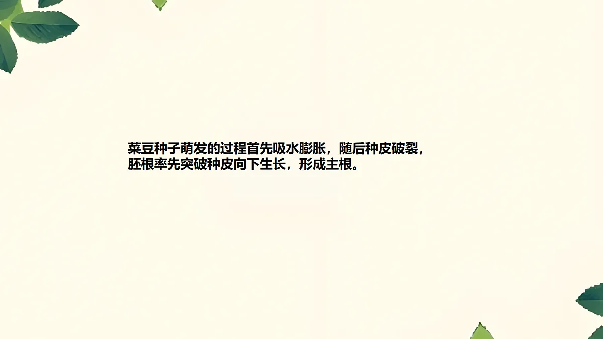 18060249第4页