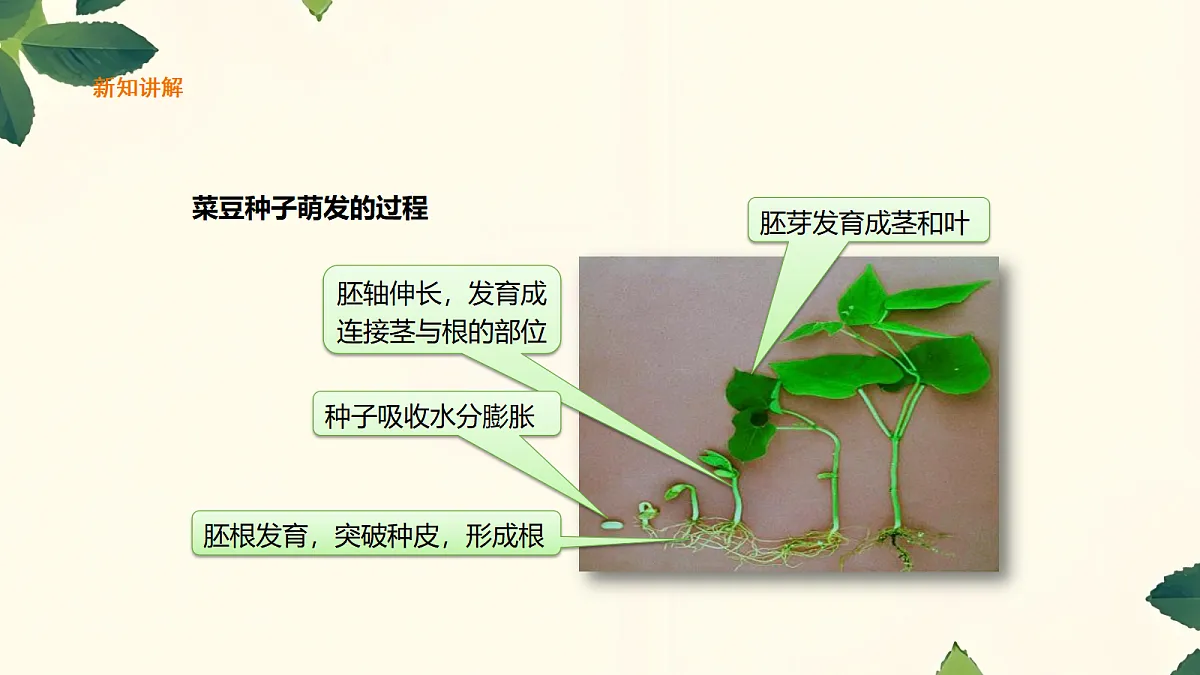 18060249第5页