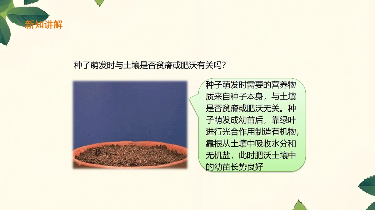 18060249第6页