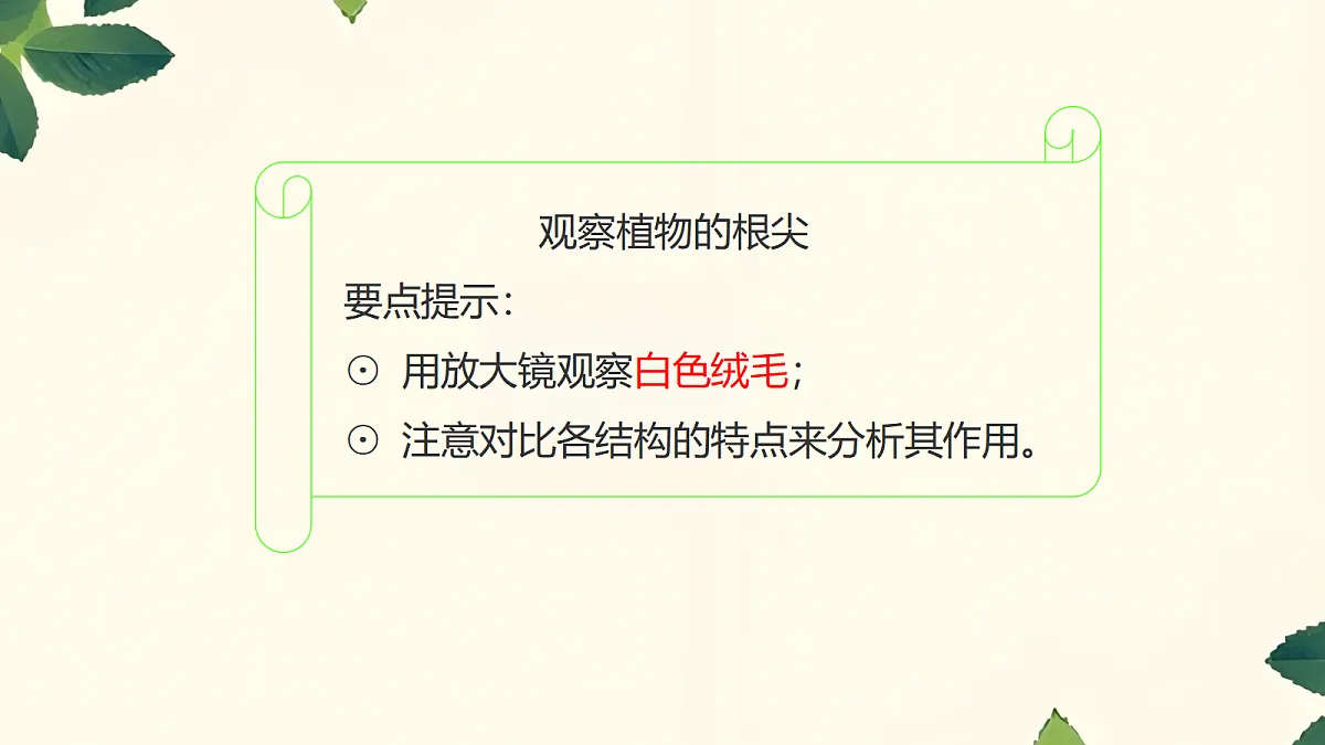 18060249第7页