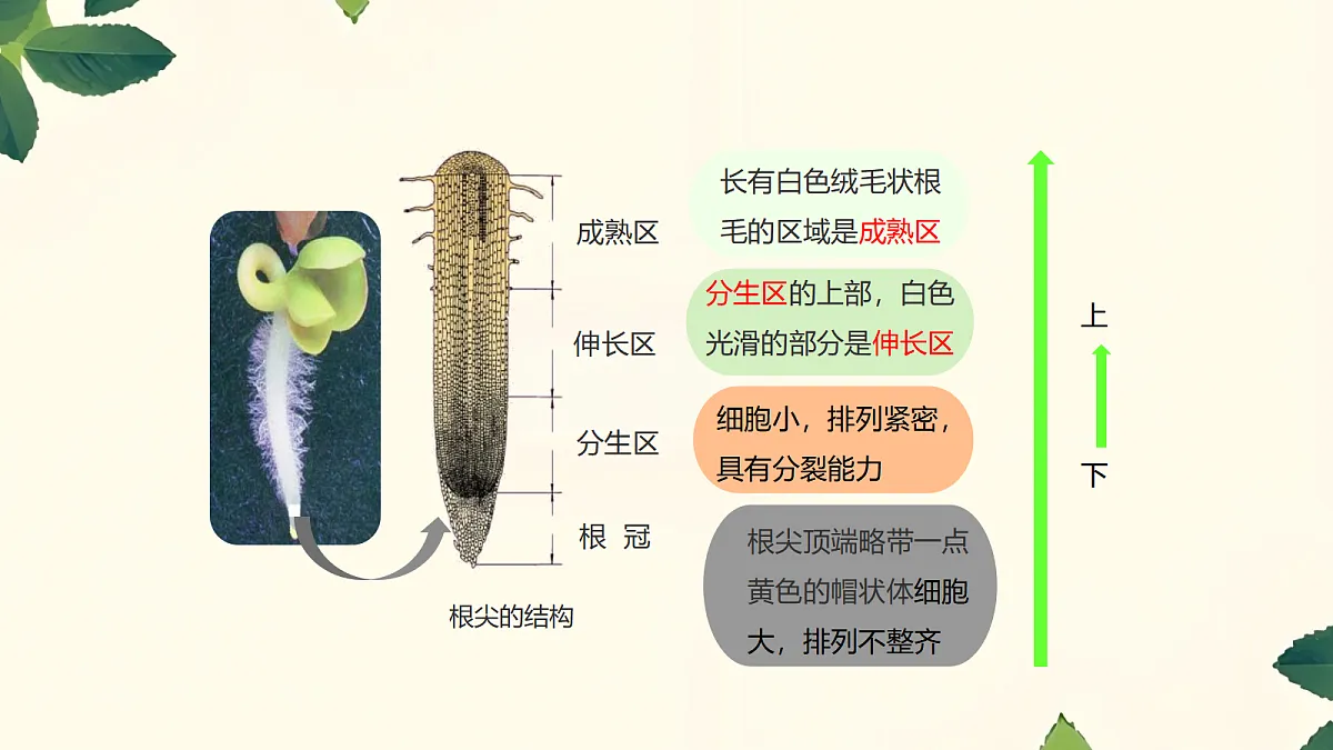 18060249第8页
