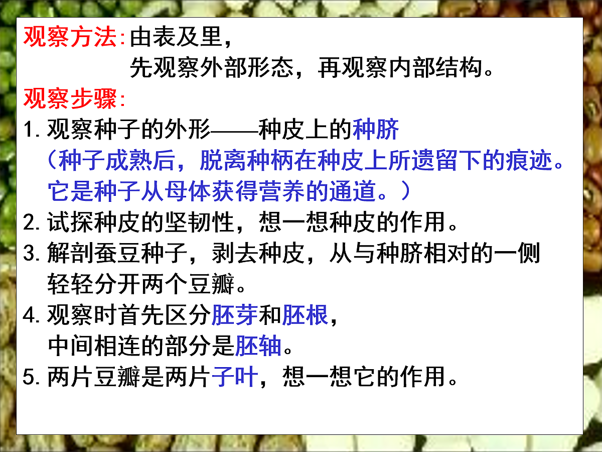 18060253第6页