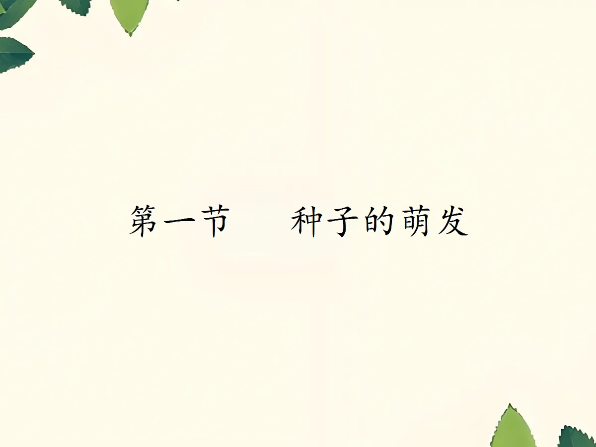18060254第1页