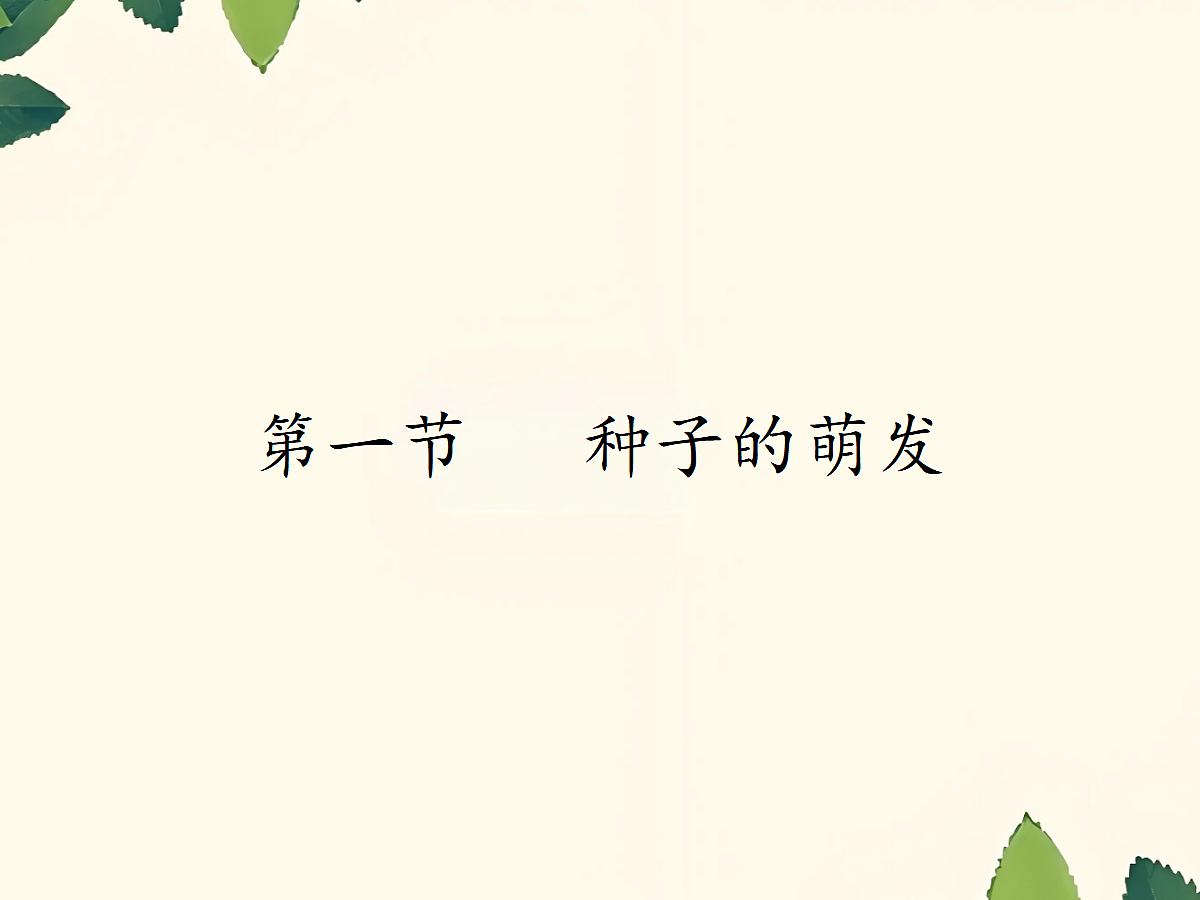 18060254第1页