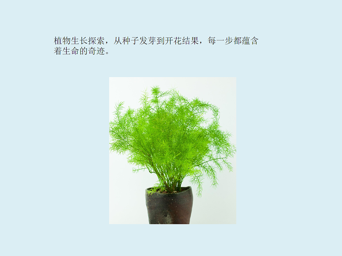 18060255第3页