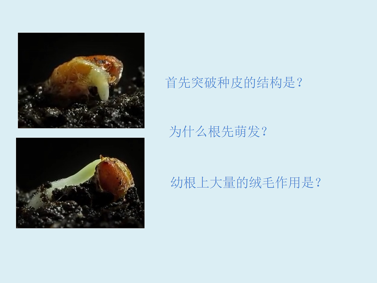 18060255第5页