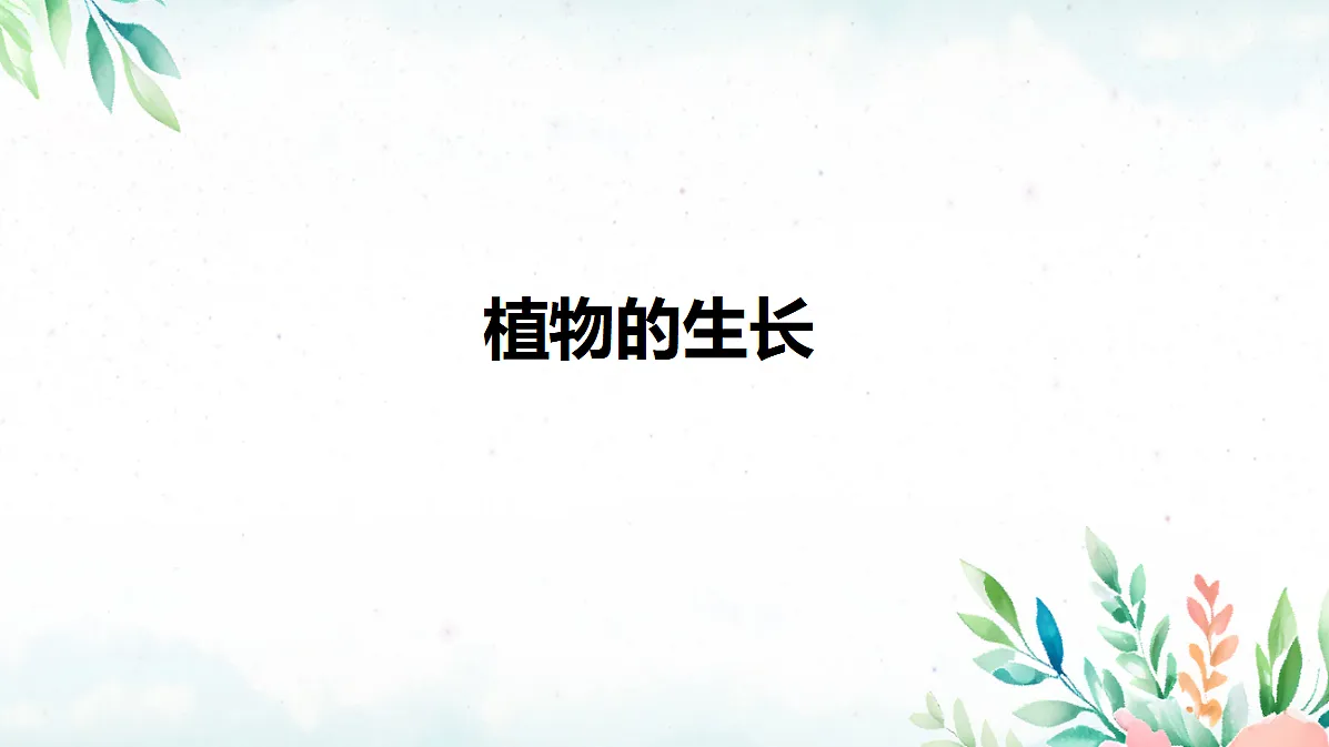 18060256第1页
