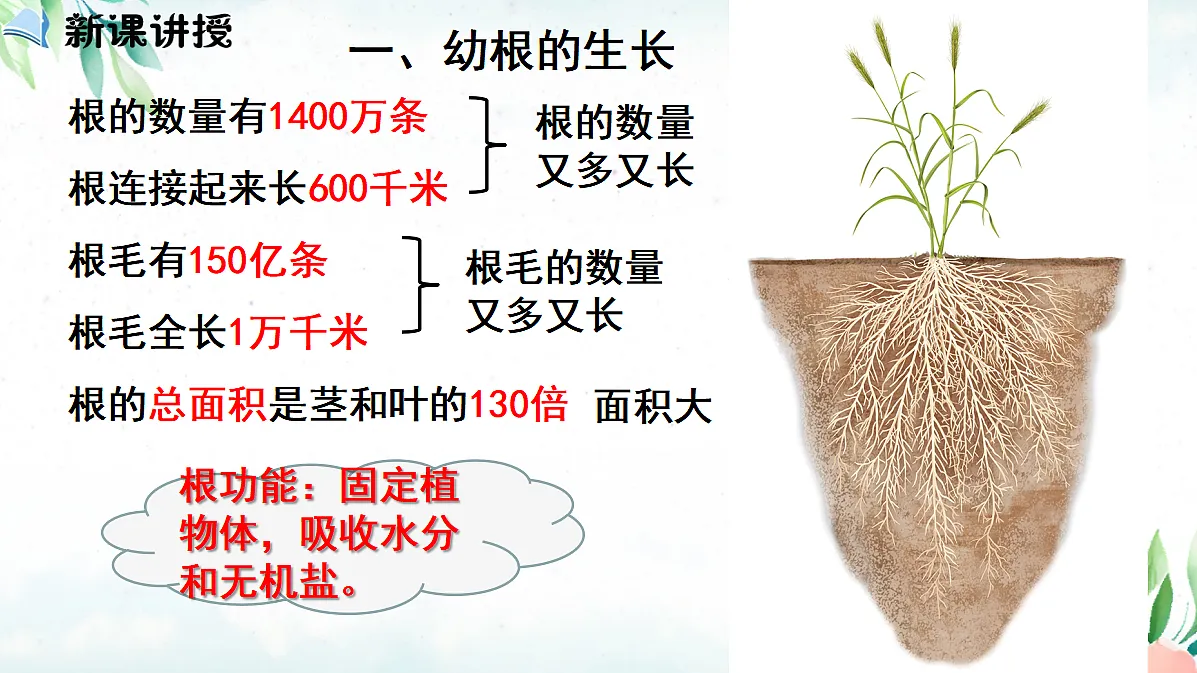 18060256第4页