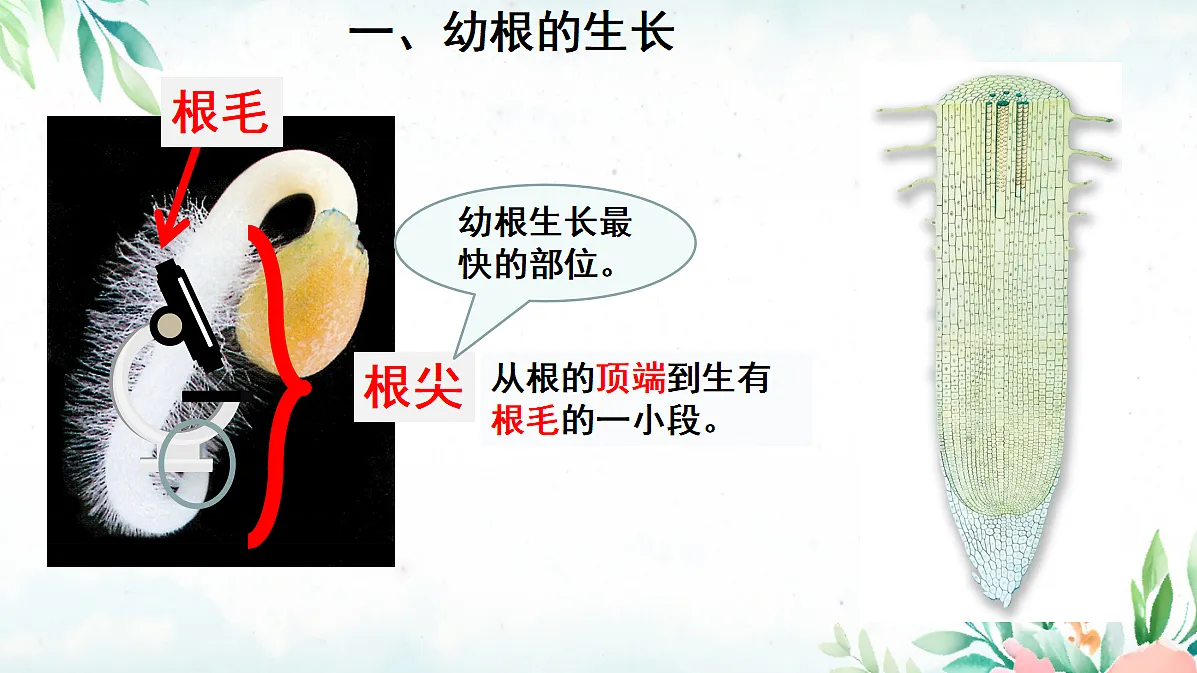 18060256第5页