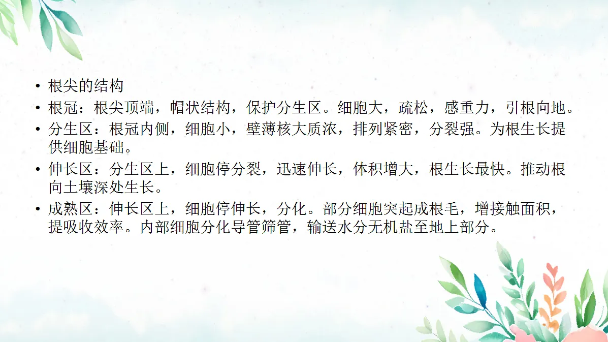 18060256第6页