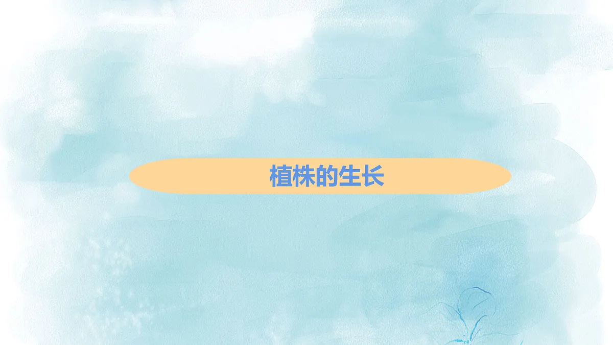18060258第1页