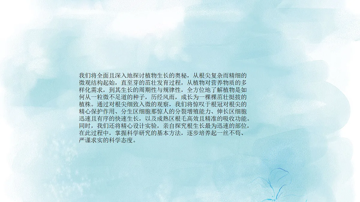 18060258第3页