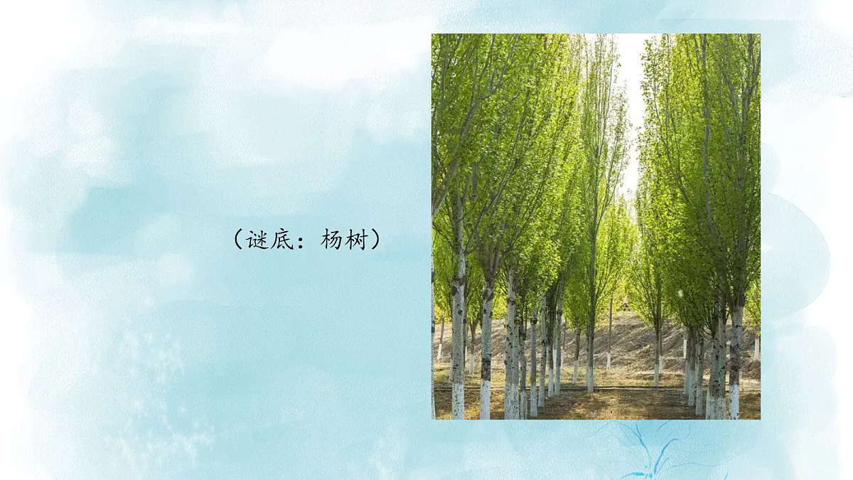 18060258第5页