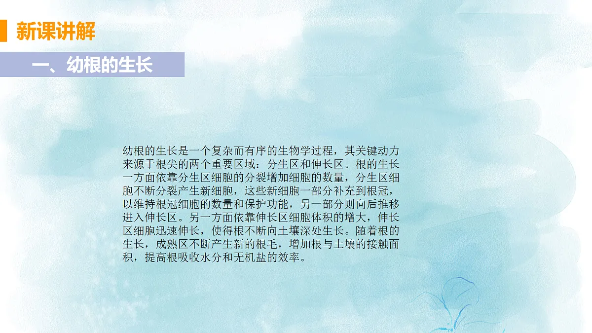 18060258第6页
