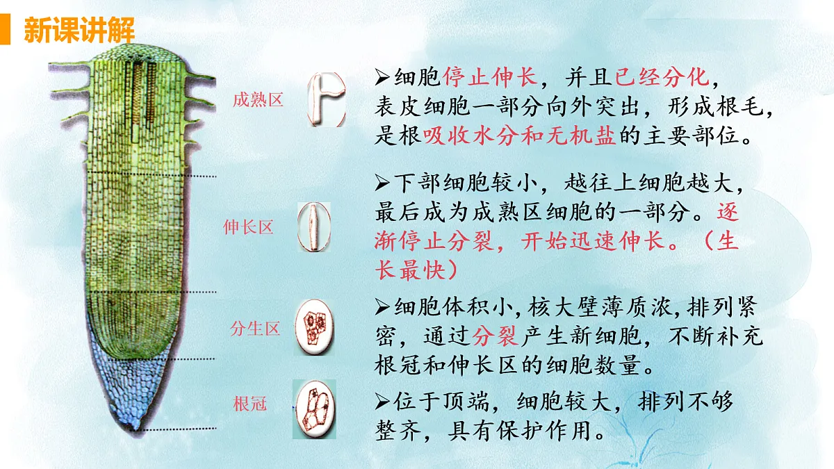 18060258第8页