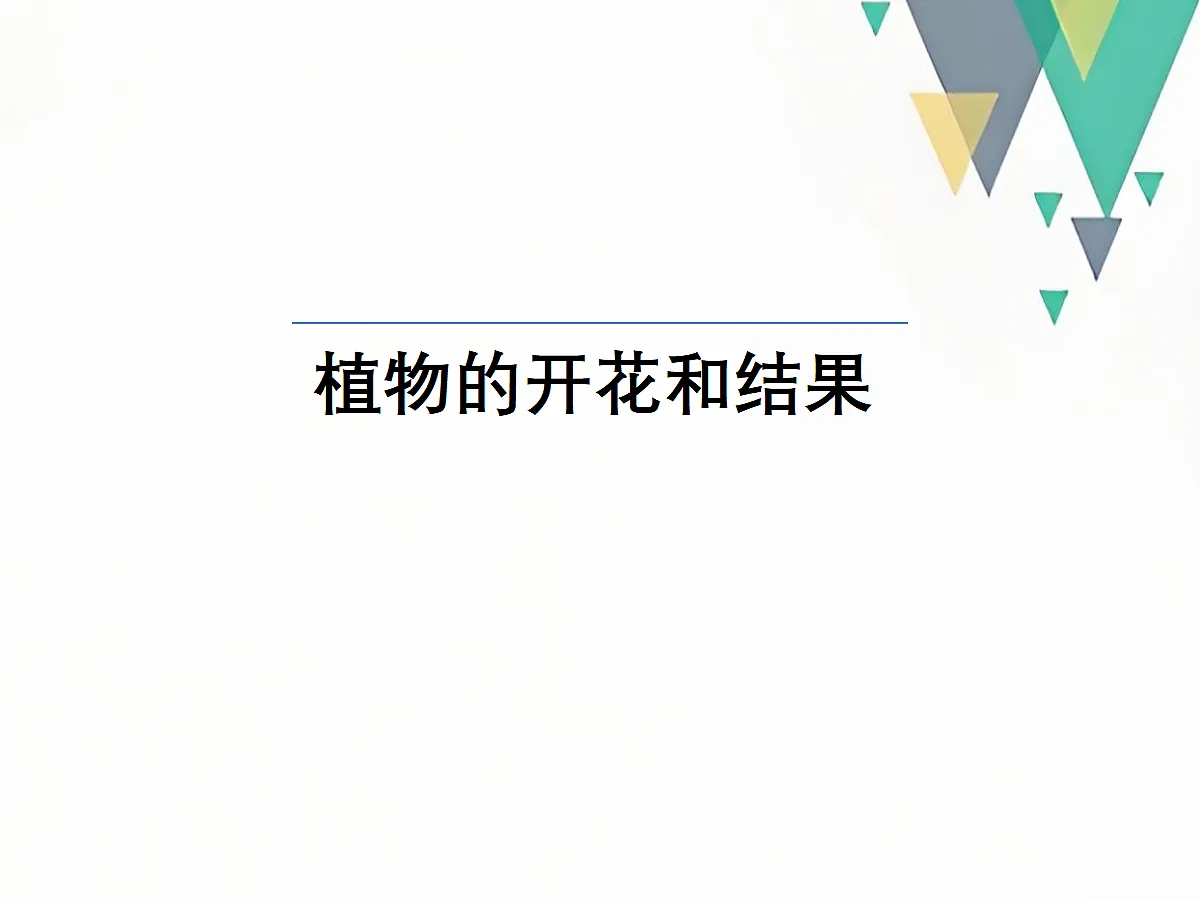18060259第1页