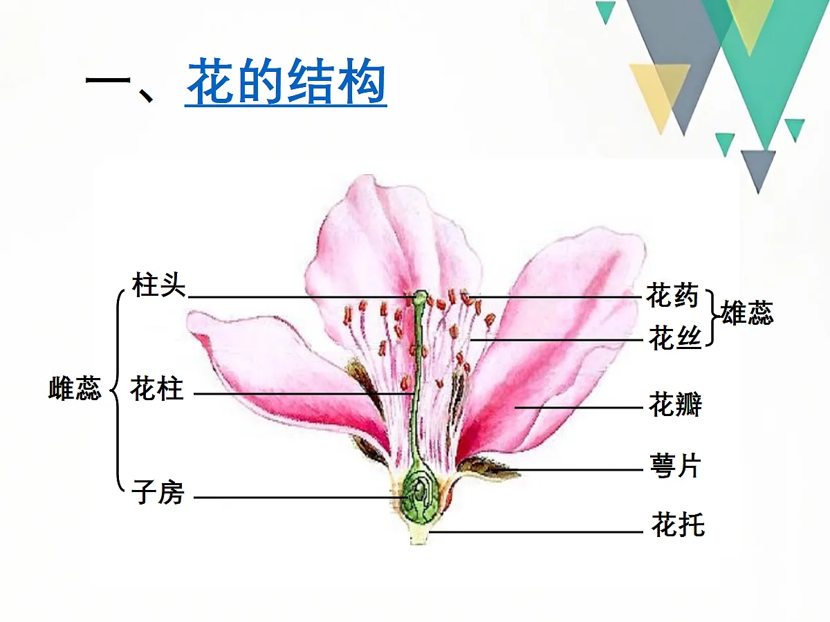 18060259第4页