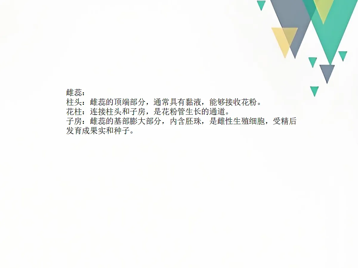 18060259第6页