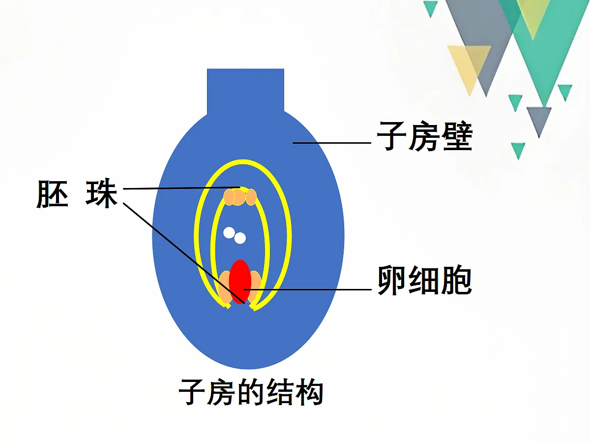 18060259第7页