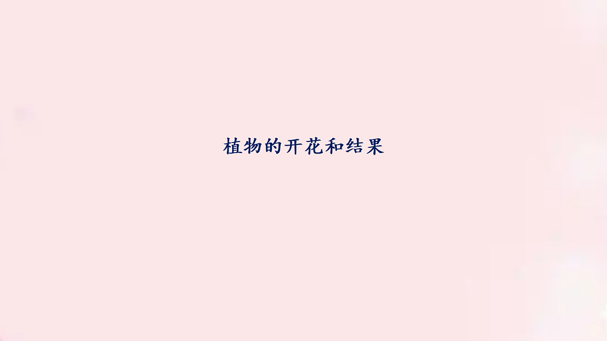18060260第1页