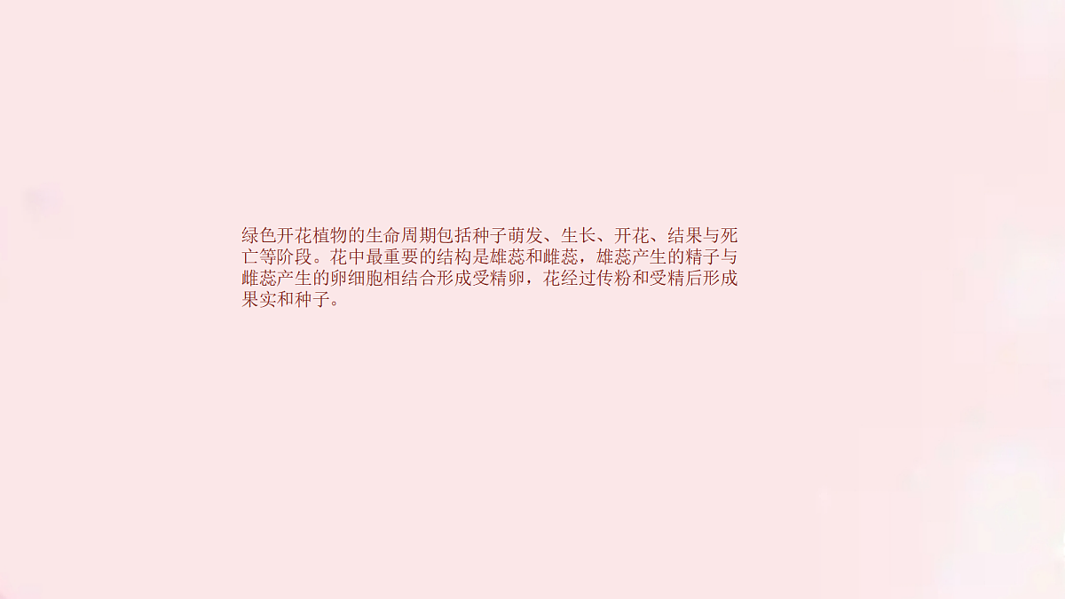 18060260第4页