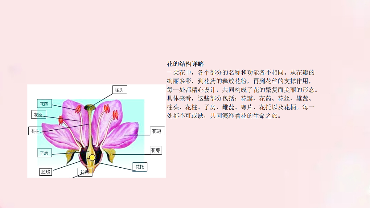 18060260第5页