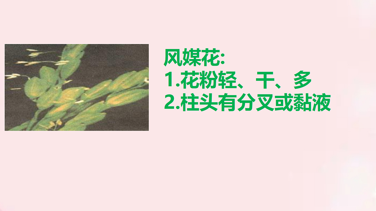 18060260第6页