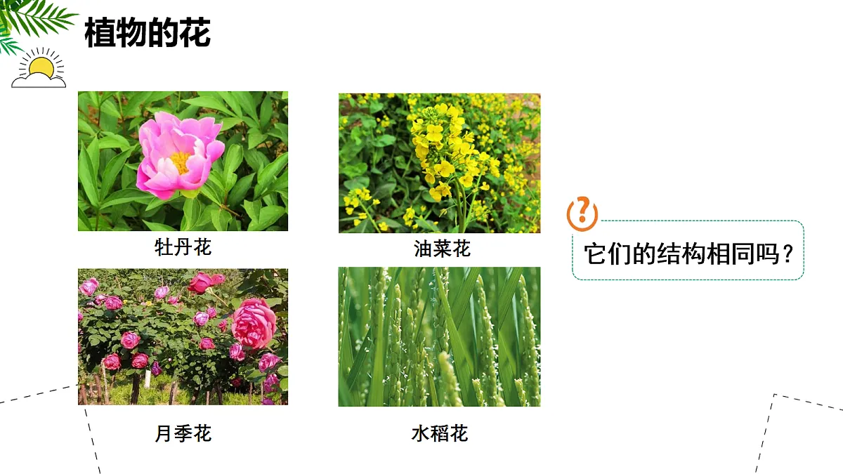 18060261第7页