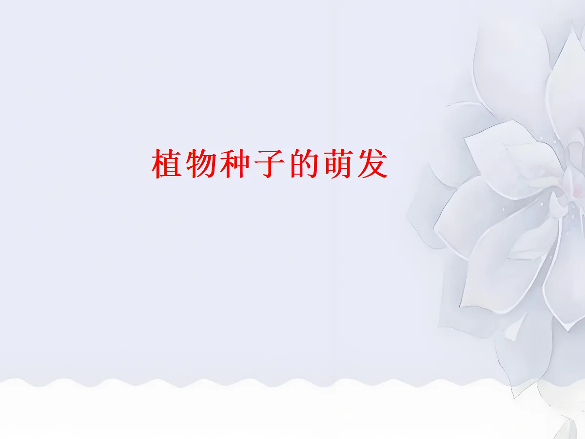 18060262第1页