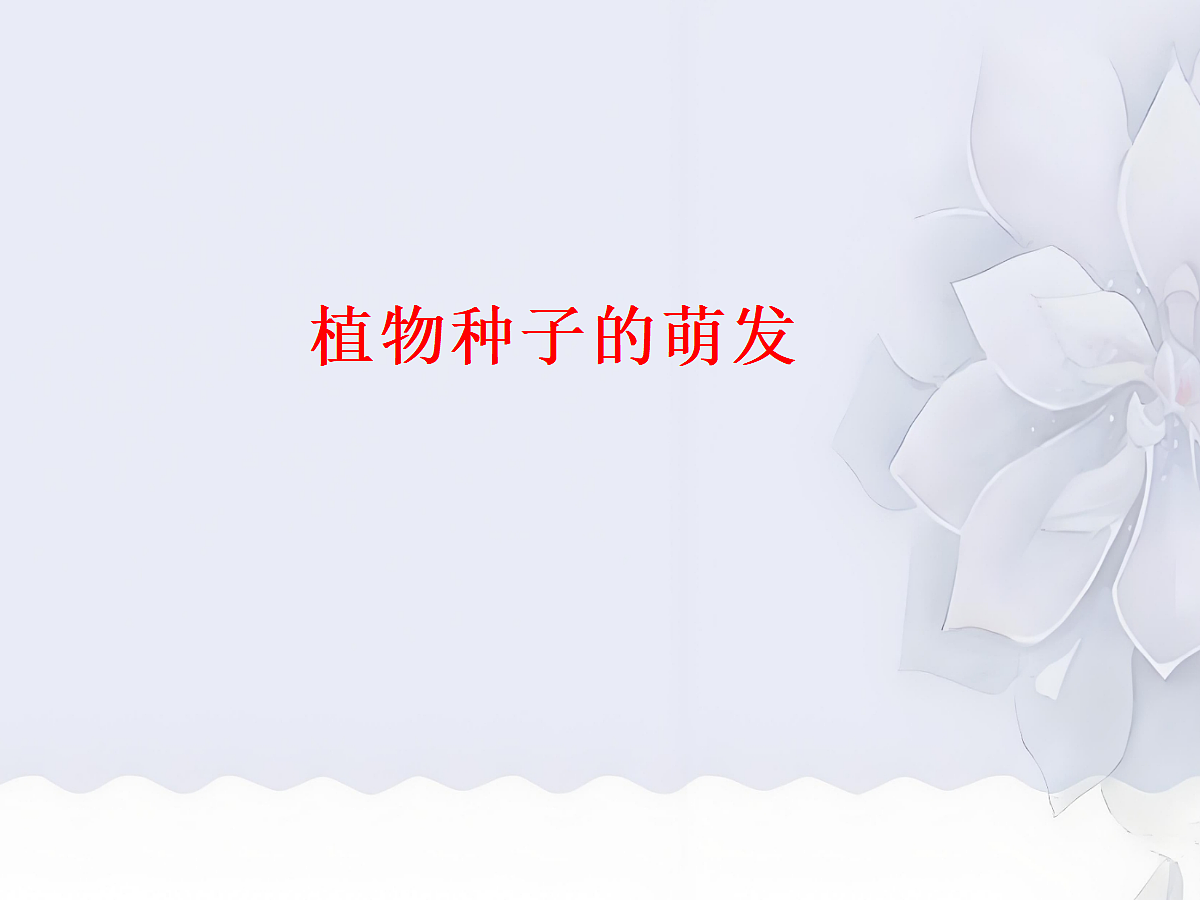 18060262第1页
