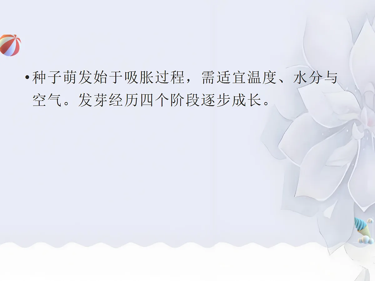 18060262第3页