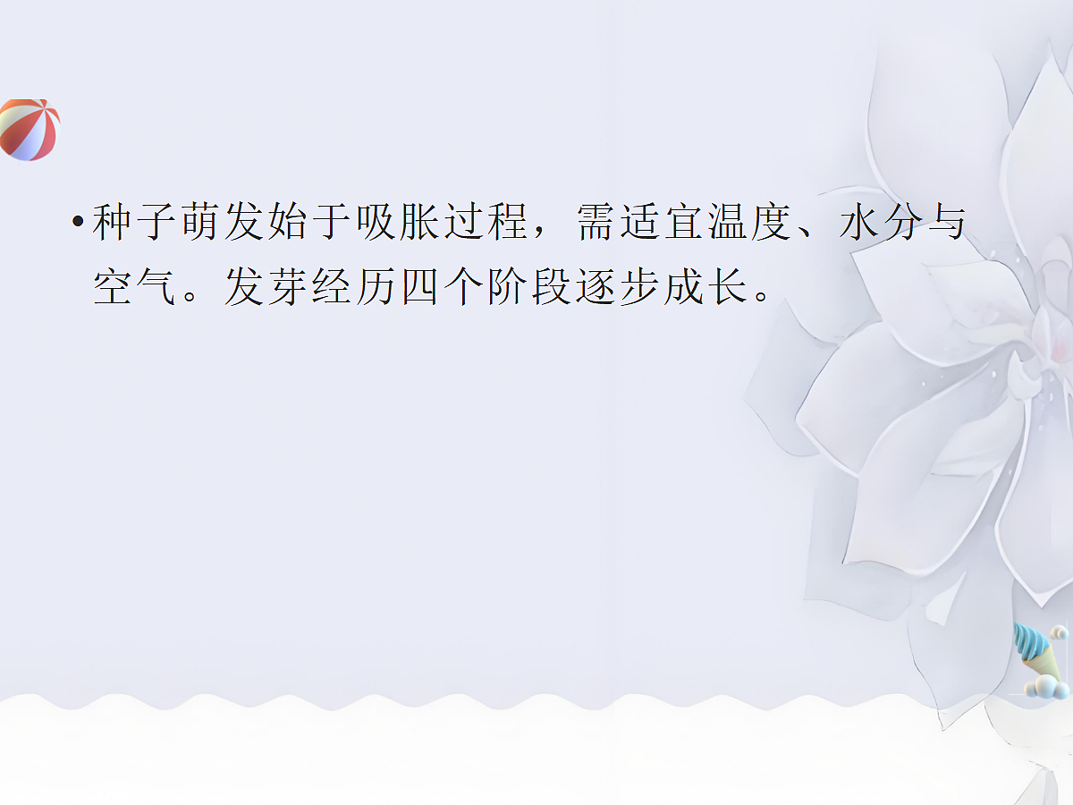 18060262第3页