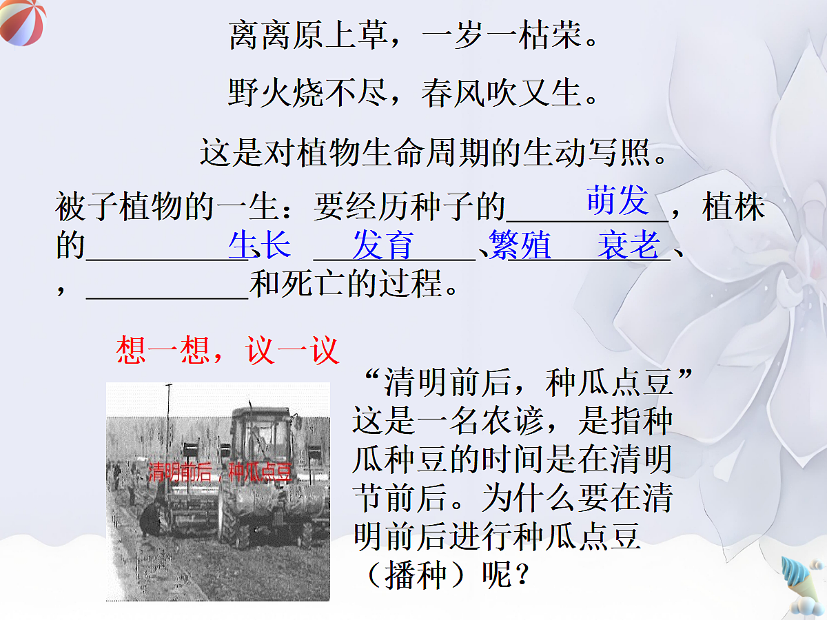 18060262第4页