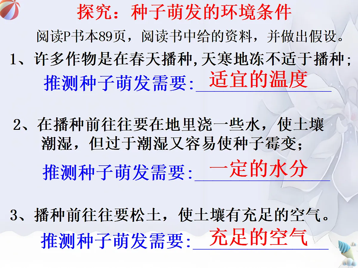 18060262第5页