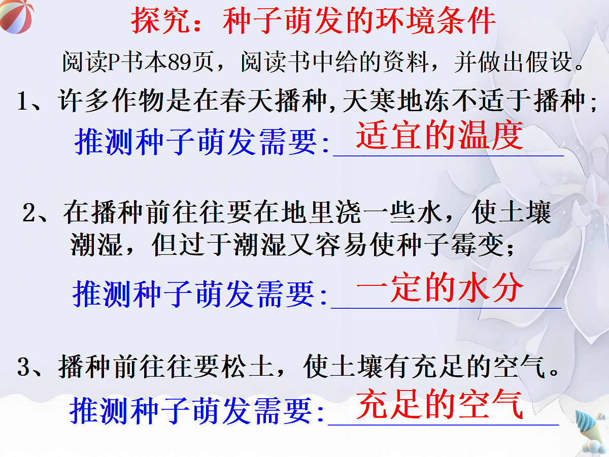 18060262第5页
