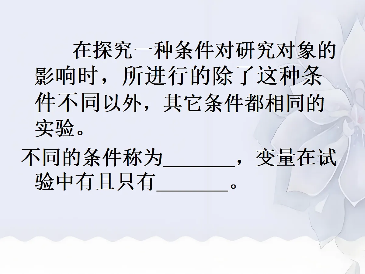 18060262第8页