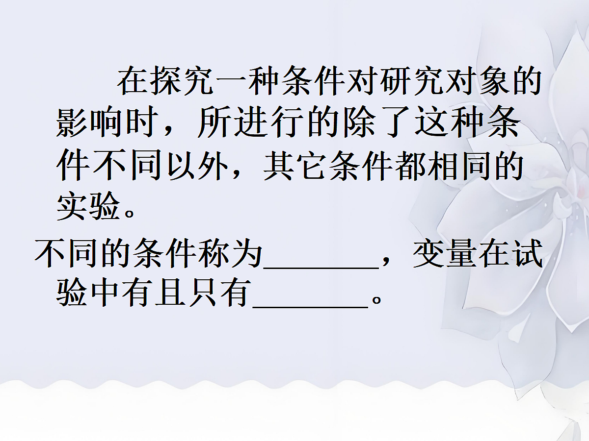 18060262第8页