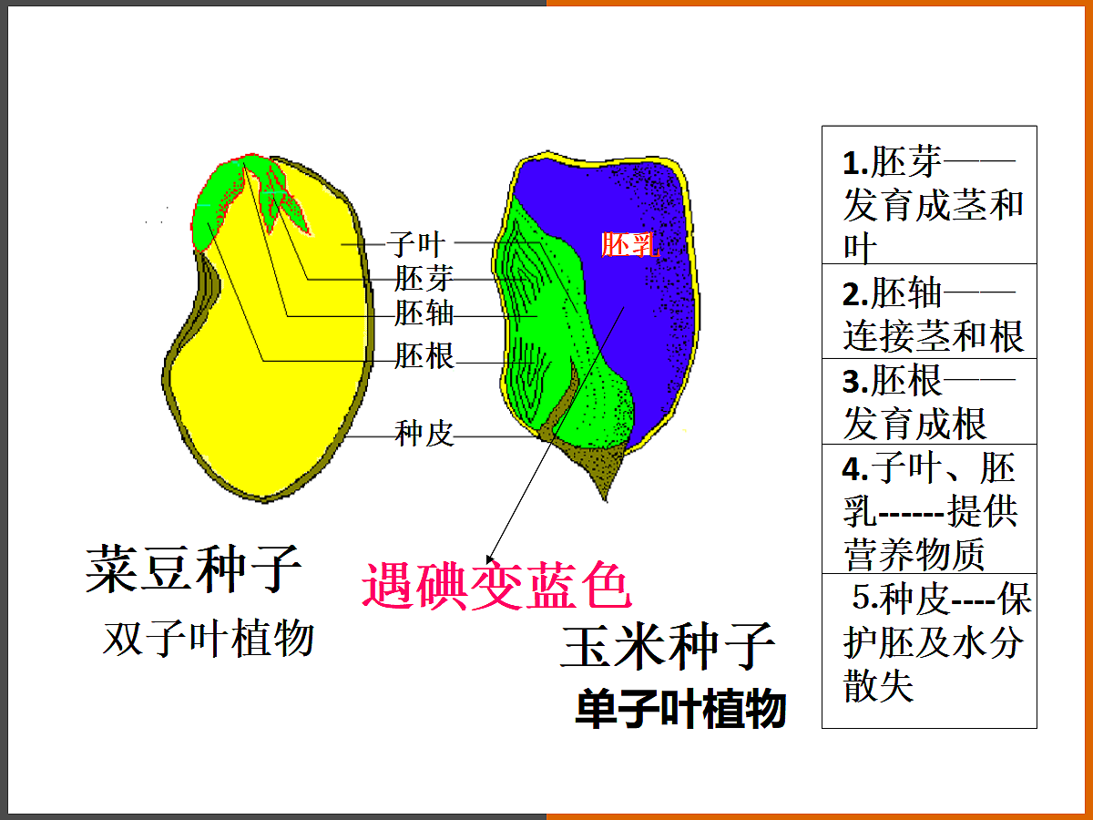 18060263第4页