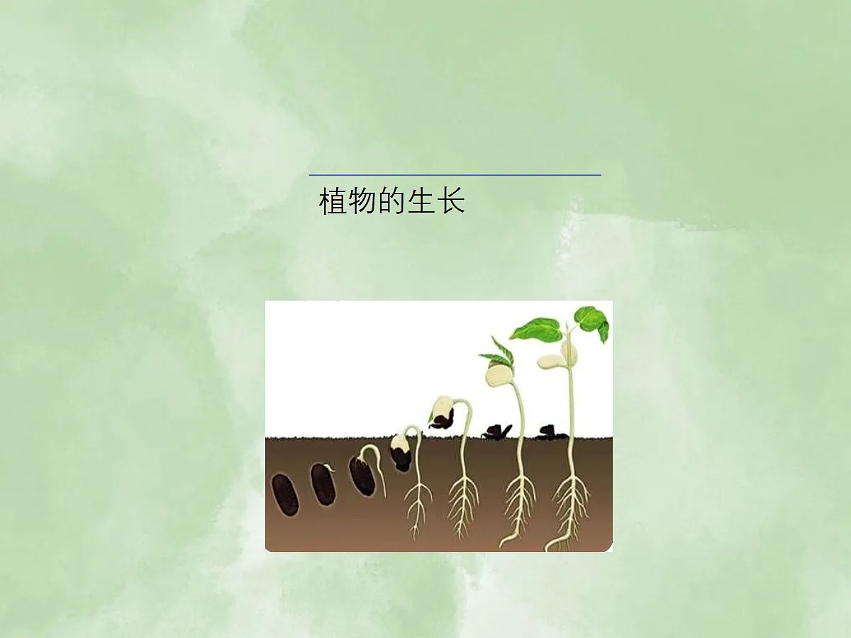 18060264第1页