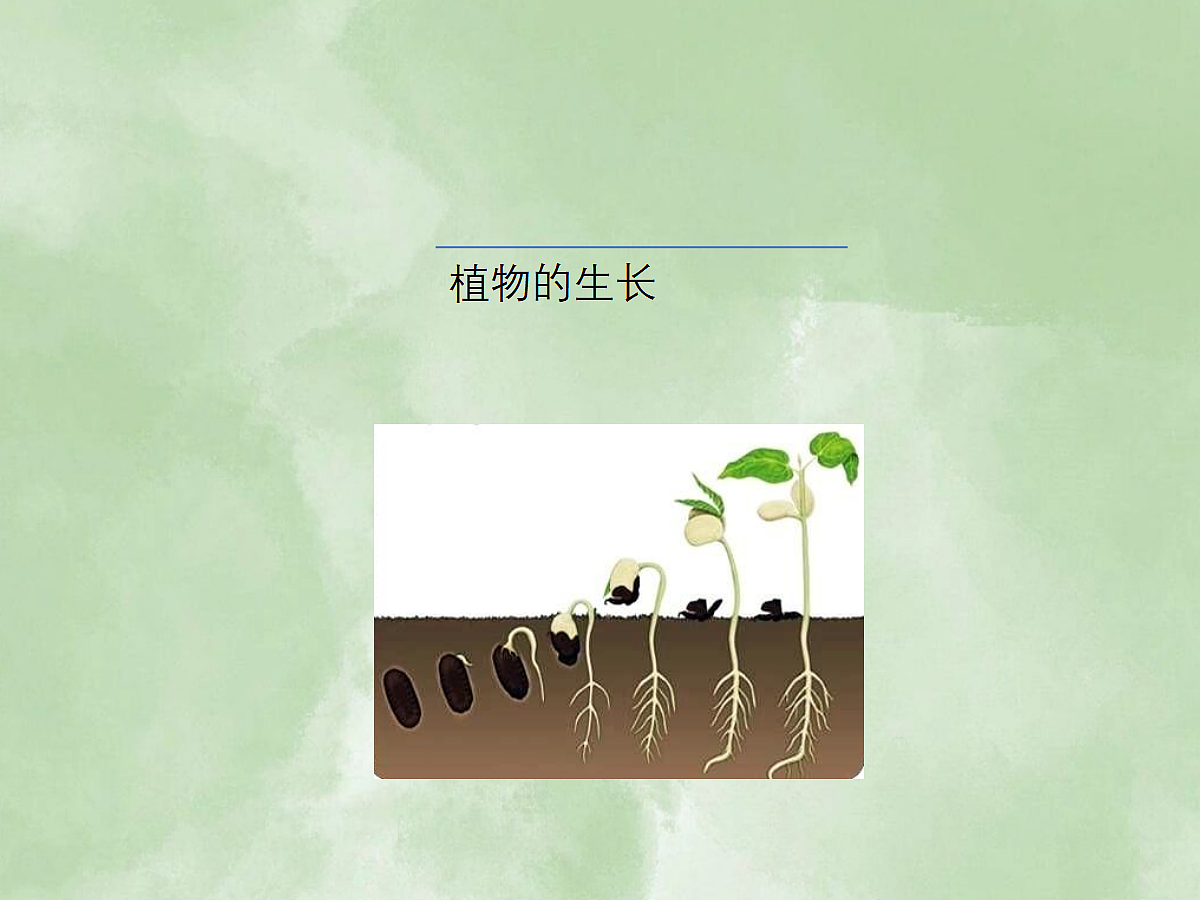 18060264第1页