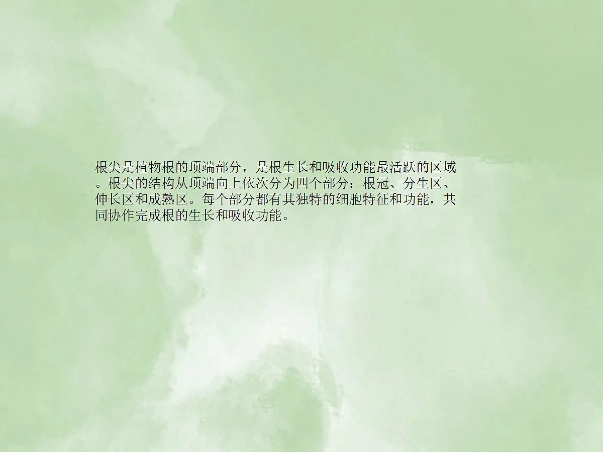 18060264第3页