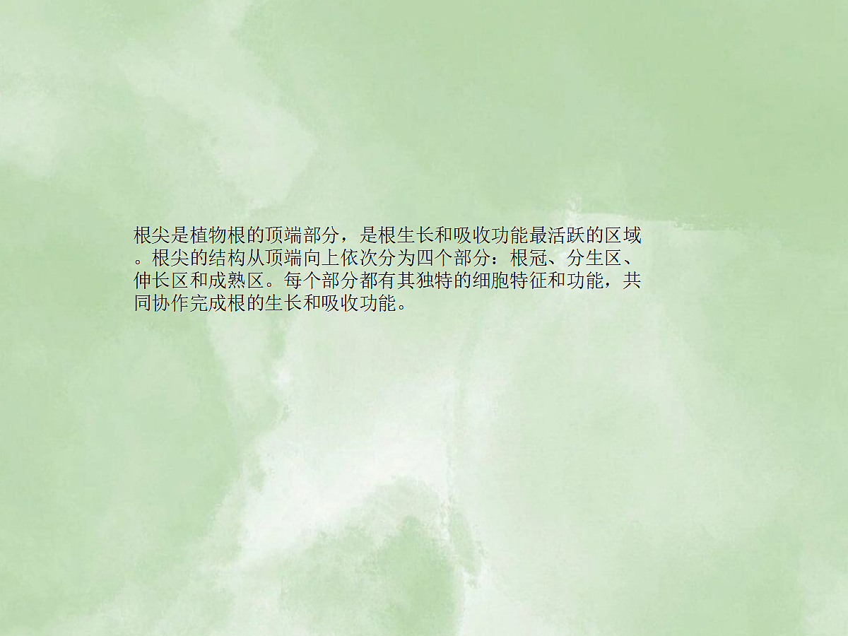 18060264第3页