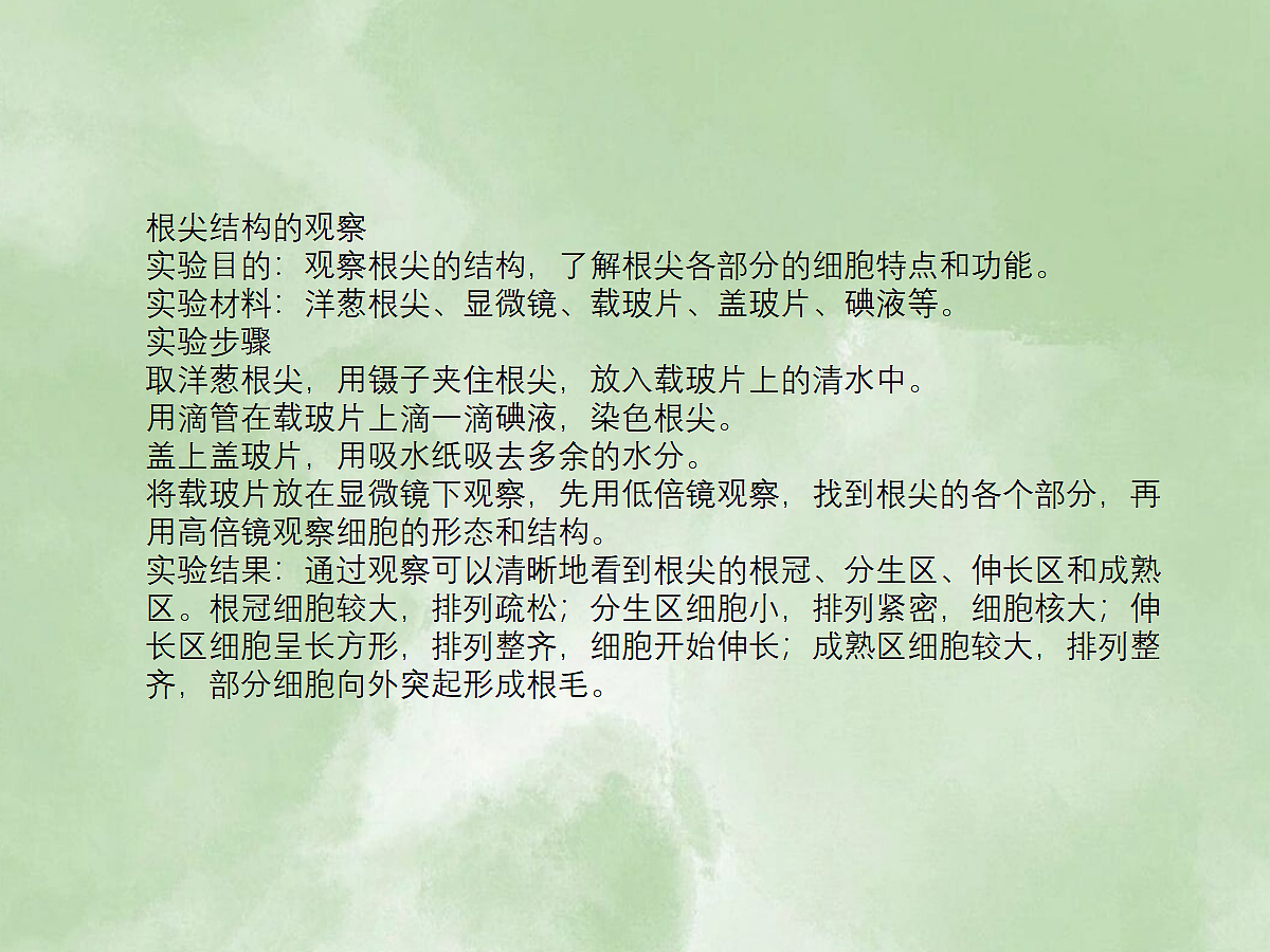 18060264第5页