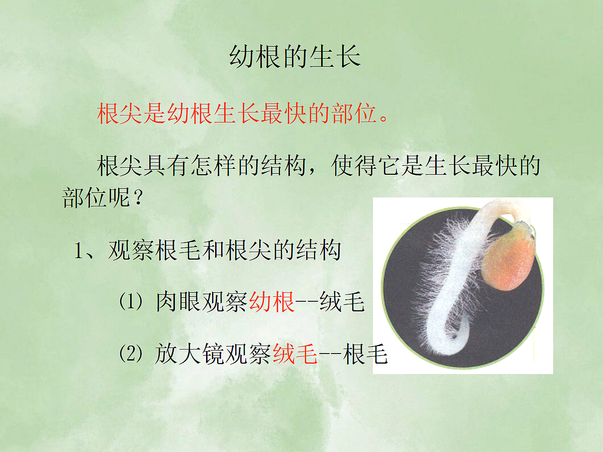 18060264第6页